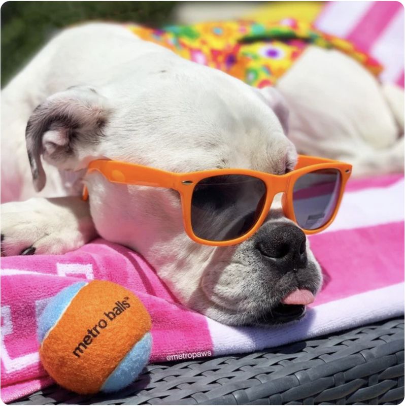 Metro Paws Tennis Balls 3ct