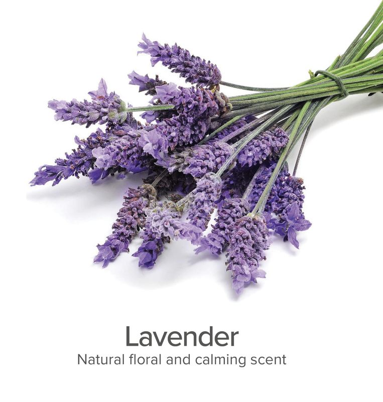 Pure &amp; Natural Dog Calming Lavender Detangling &amp; Conditioning Spray 16oz