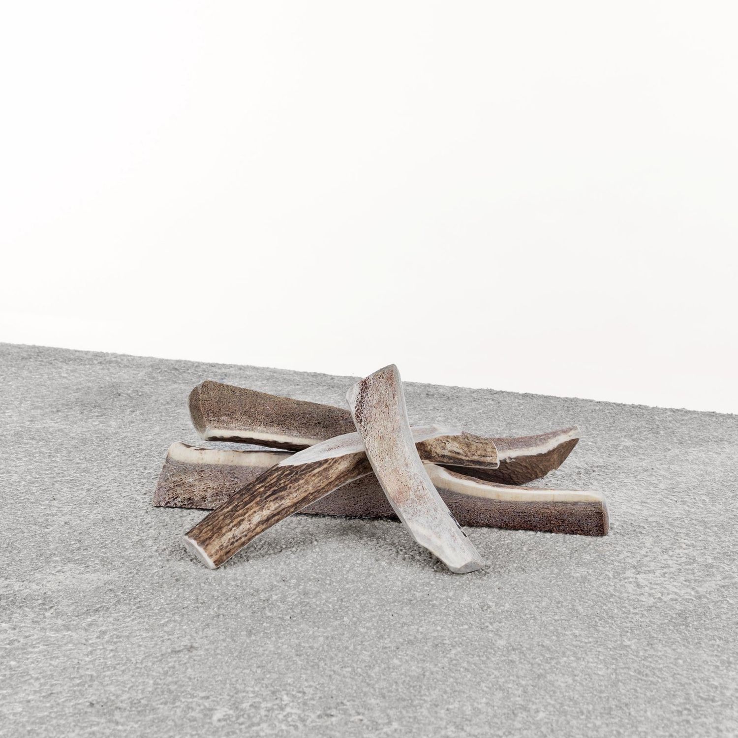 Primal Dog Split Stag Antler Chew, Size: Small