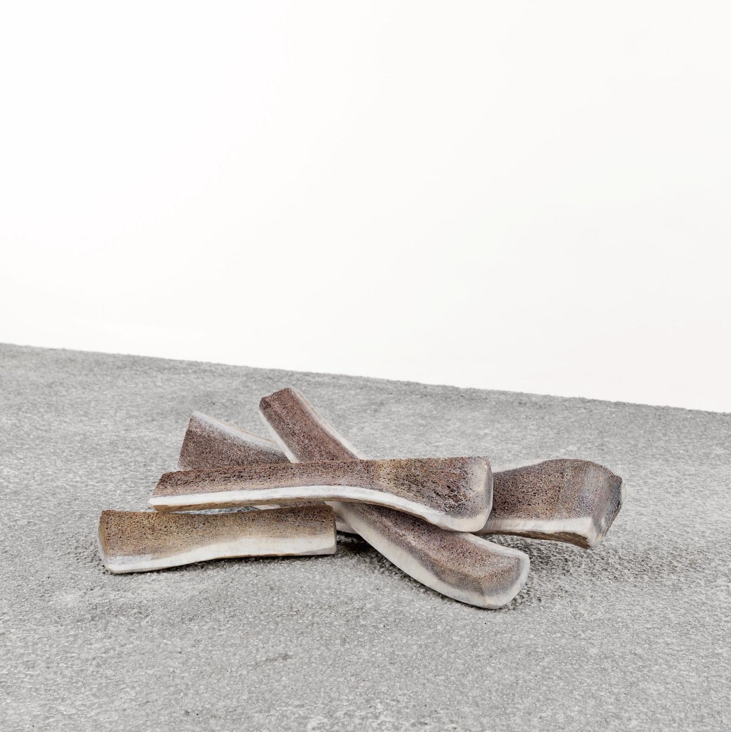 Primal Dog Split Elk Antler Chew, Size: Small
