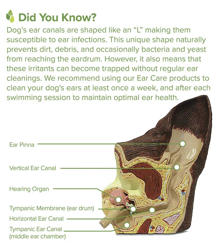 Pure &amp; Natural Dog Organic Ear Wash 4oz