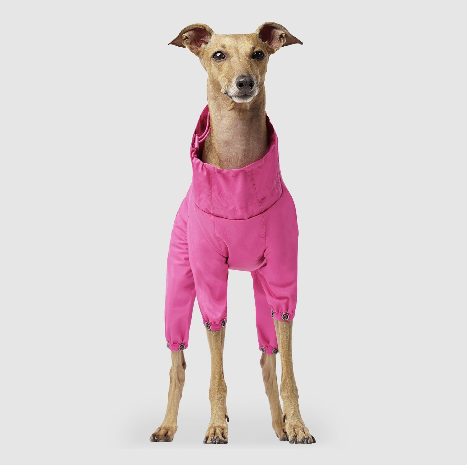 Canada Pooch Slush Suit, Color: Pink, Size: 12