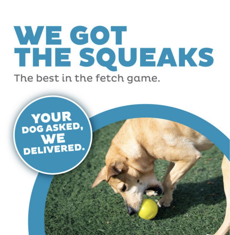 Outward Hound Dog Orbee-Tuff Squeak Ball Yellow