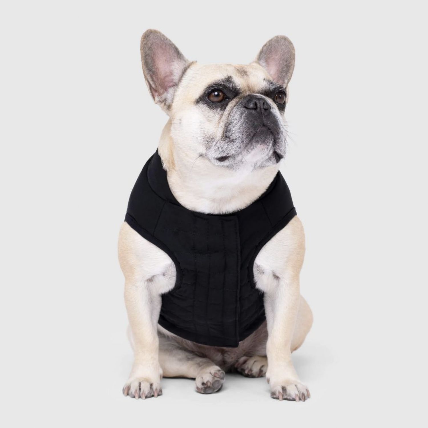 Canada Pooch Ultimate Stretch Vest Black, Size: 8