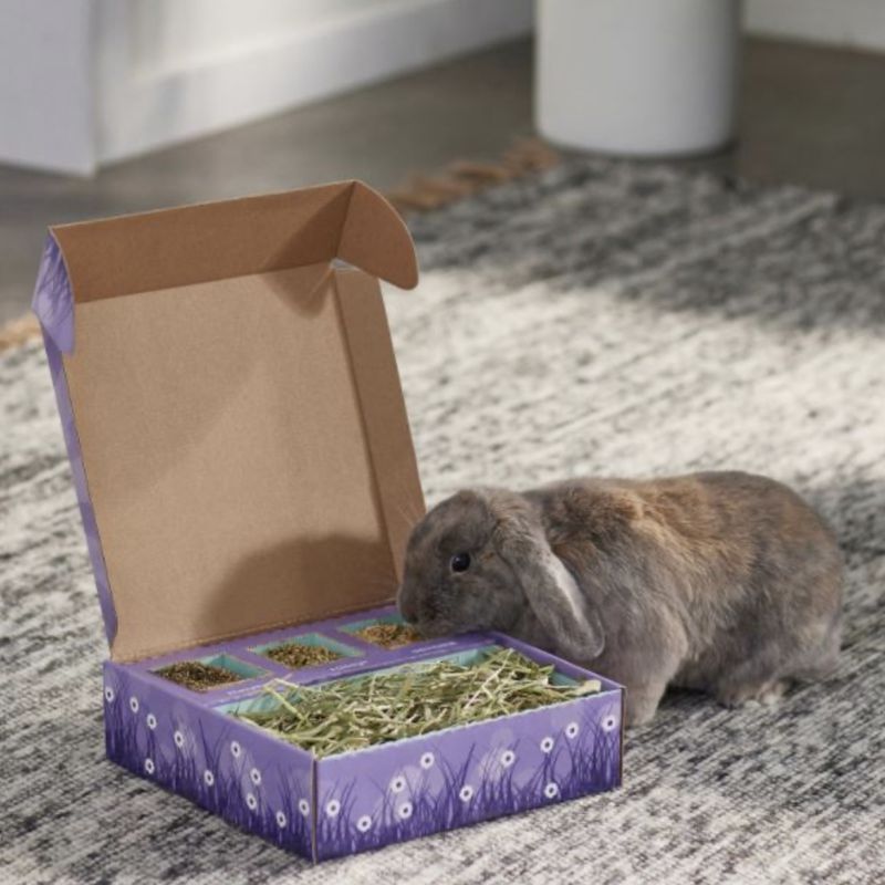 Sweet Meadow Bunny Bento Box 3 Western Timothy, Whole Oats &amp; Dandelion 10oz