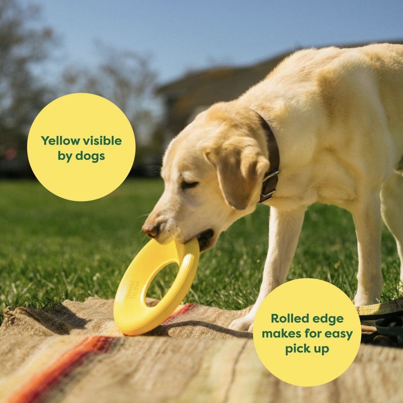 Earth Rated Dog Fly Toy