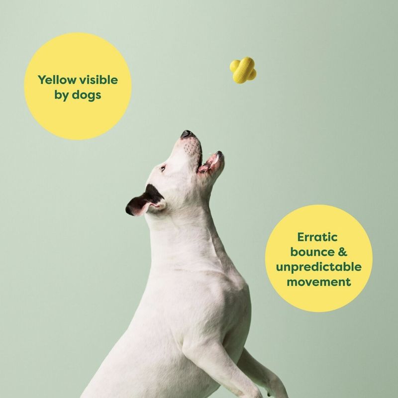Earth Rated Dog Fetch Toy