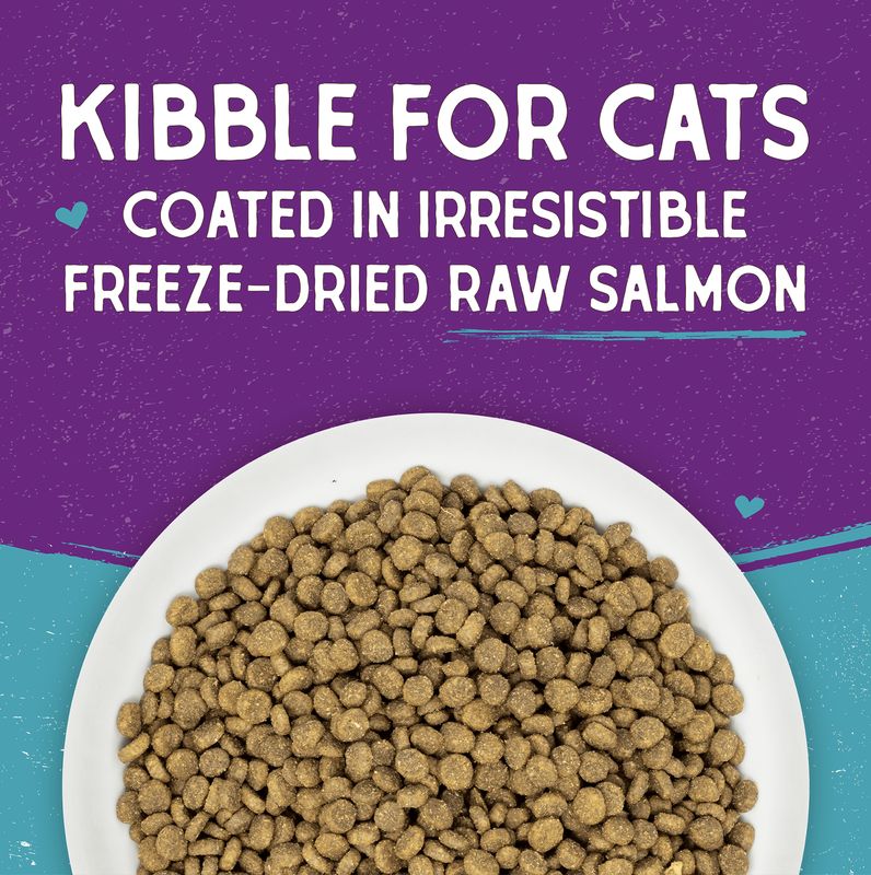 Stella &amp; Chewy's Cat Raw Coated Salmon
