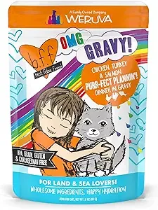 BFF Cat Gravy Chicken Turkey &amp; Salmon Pouch 2.8oz