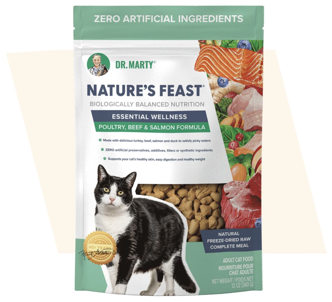 Dr. Marty Cat Nature’s Feast Essential Wellness Poultry, Beef, &amp; Salmon, Size: 5.5oz
