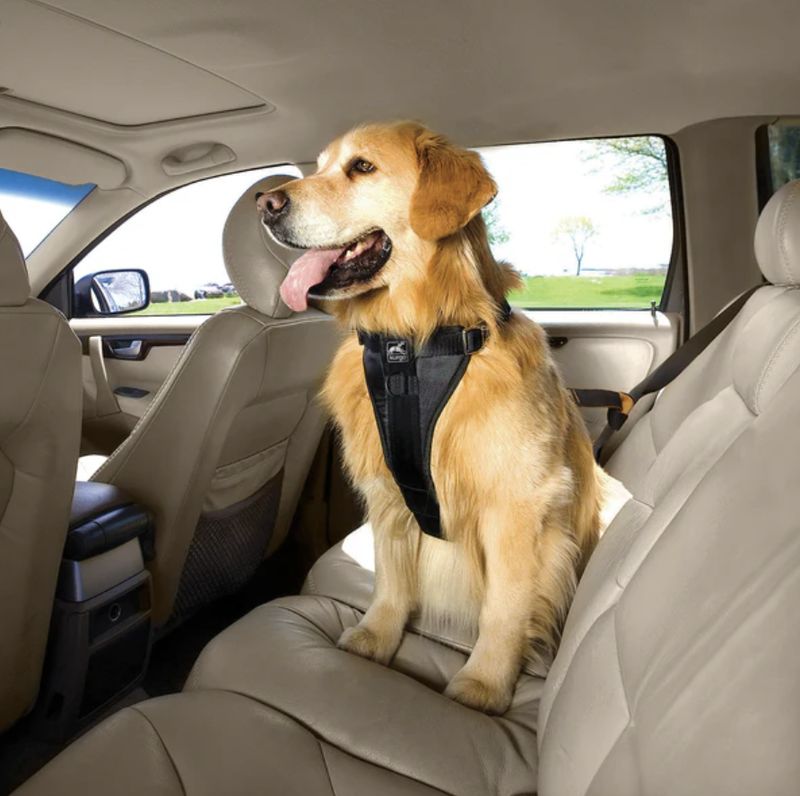 Kurgo Enhanced Strength Tru-Fit Dog Car Harness
