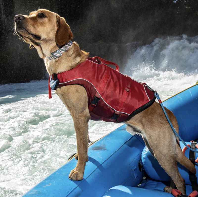 Kurgo Surf N Turf Dog Life Jacket Red