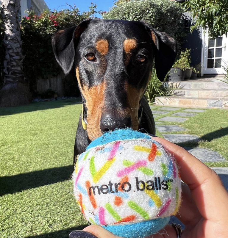 Metro Paws Squeaker Pawty Tennis Balls 3ct
