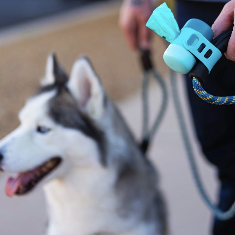 Messy Mutts Dog Poop Bag Holder with Silicone Strap