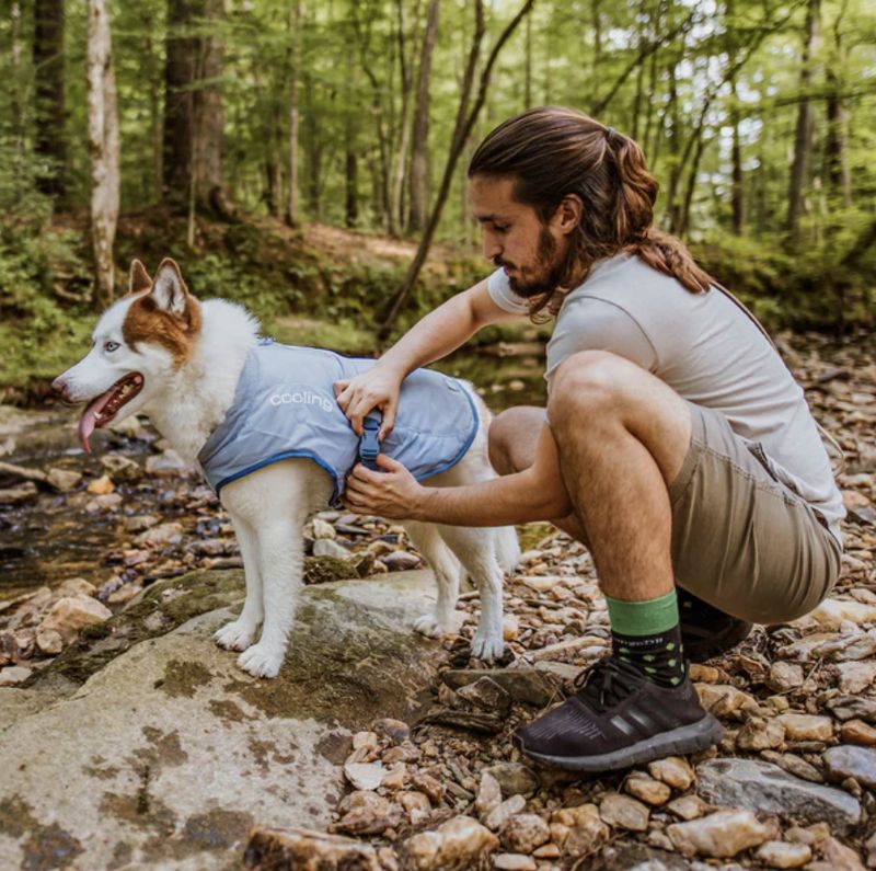 Kurgo Dog Core Cooling Vest Blue