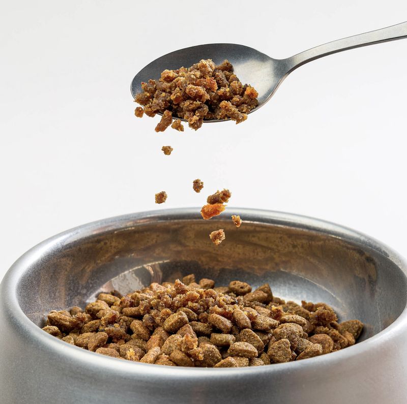 Saint Rocco's Dog Sprinkles Beef Topper 6oz