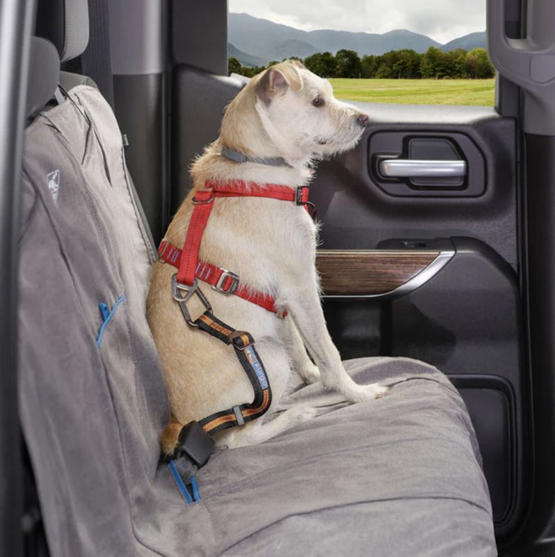 Kurgo Direct to Seatbelt Tether