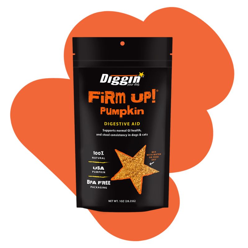 Diggin Dog Firm Up Pumpkin