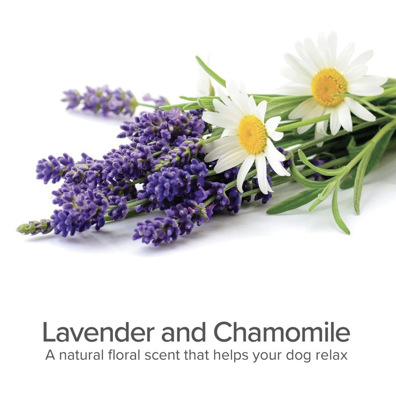 Pure &amp; Natural Dog 4-in-1 Daily Shampoo &amp; Conditioner Lavender &amp; Chamomile 16oz