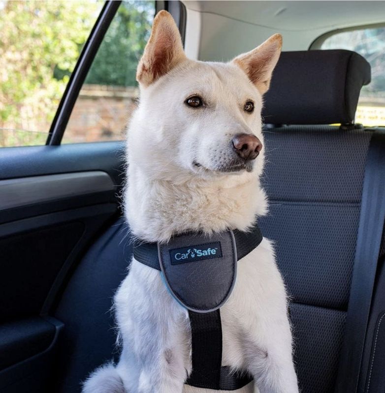 CarSafe Dog Travel Harness