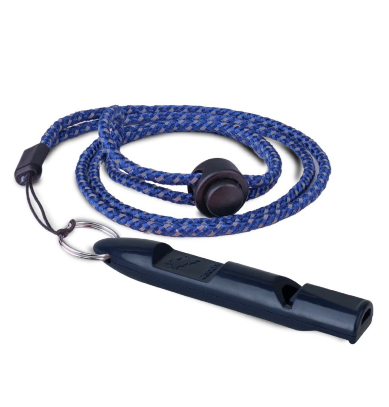 Coachi Training Whistle