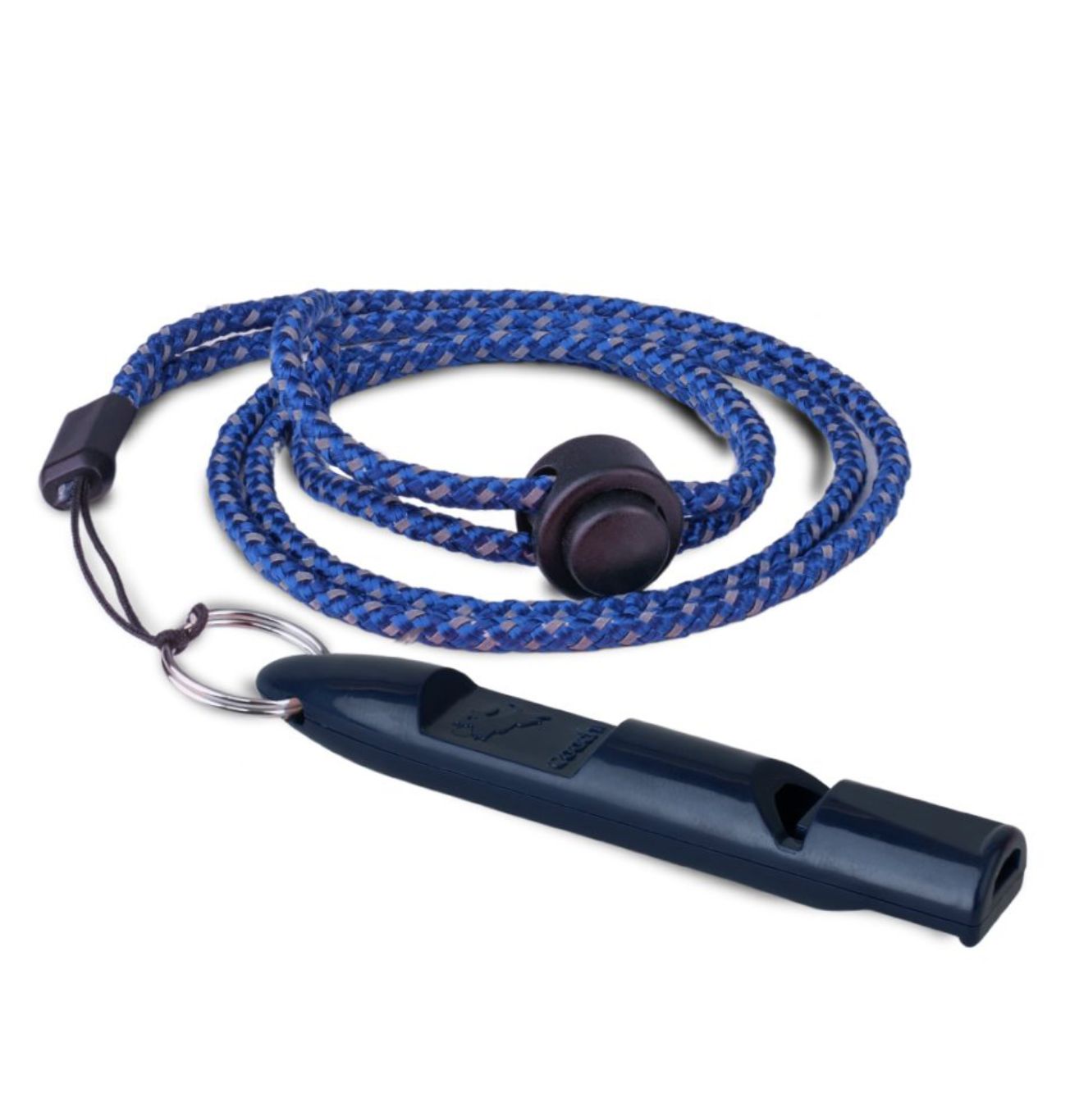 Coachi Training Whistle