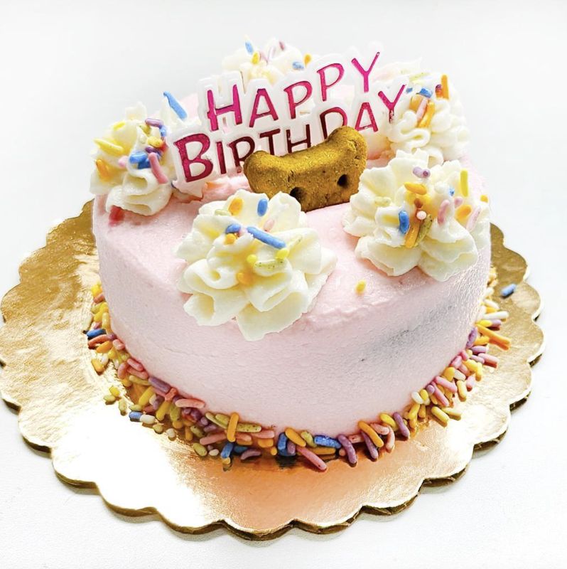 District Dog Soft Frosting Birthday Cake Pink