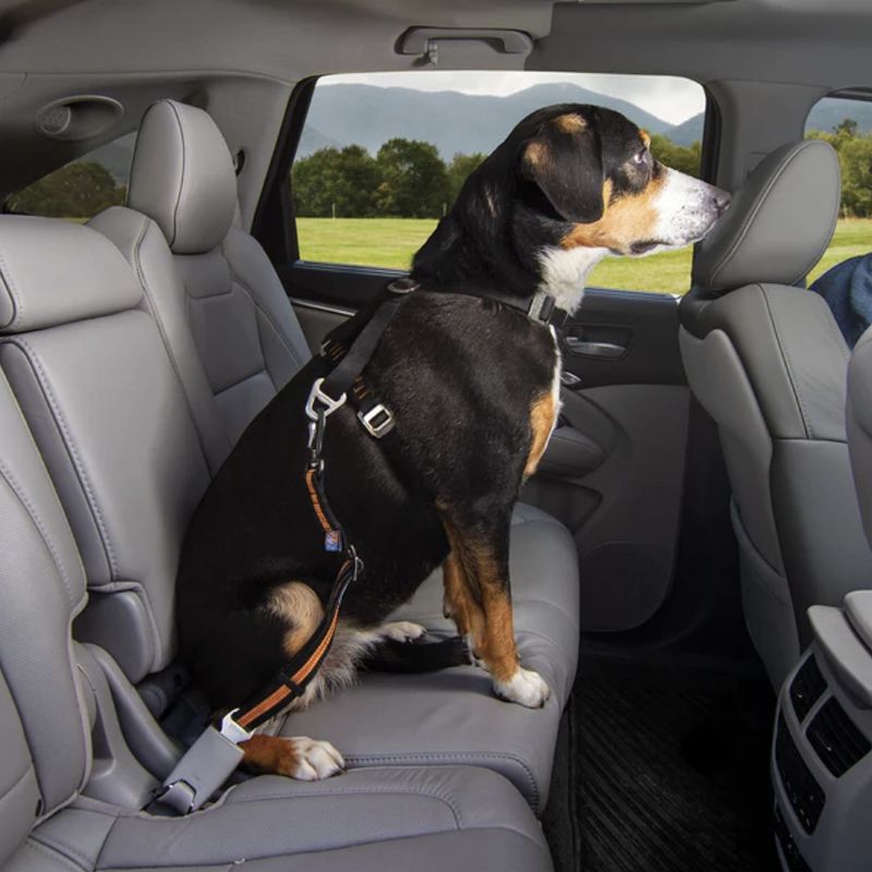 Kurgo Direct to Seatbelt Swivel Tether Orange