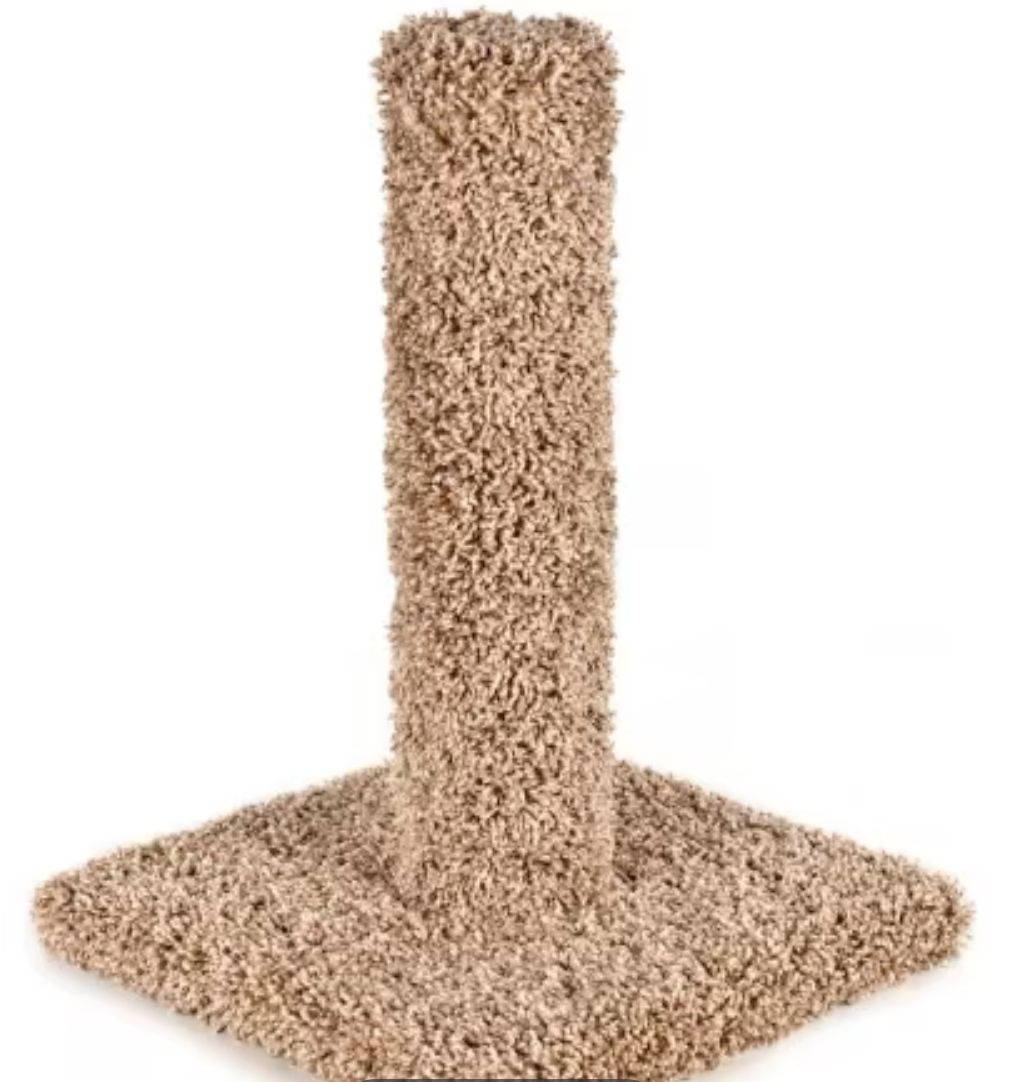 Ware Cat Kitty Cactus