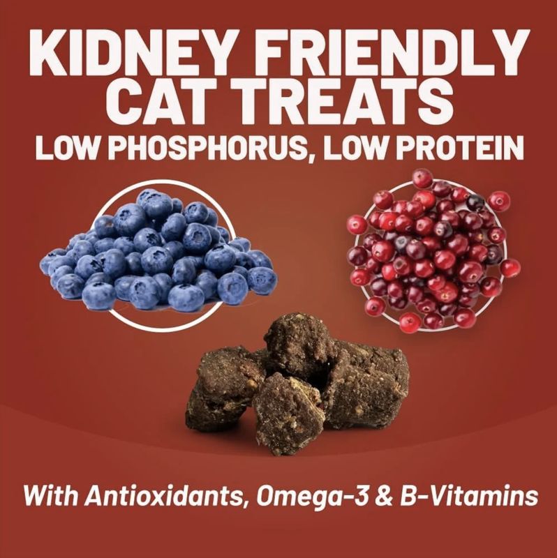Dave's Cat Kidney-Friendly Semi-Moist Treats 3oz