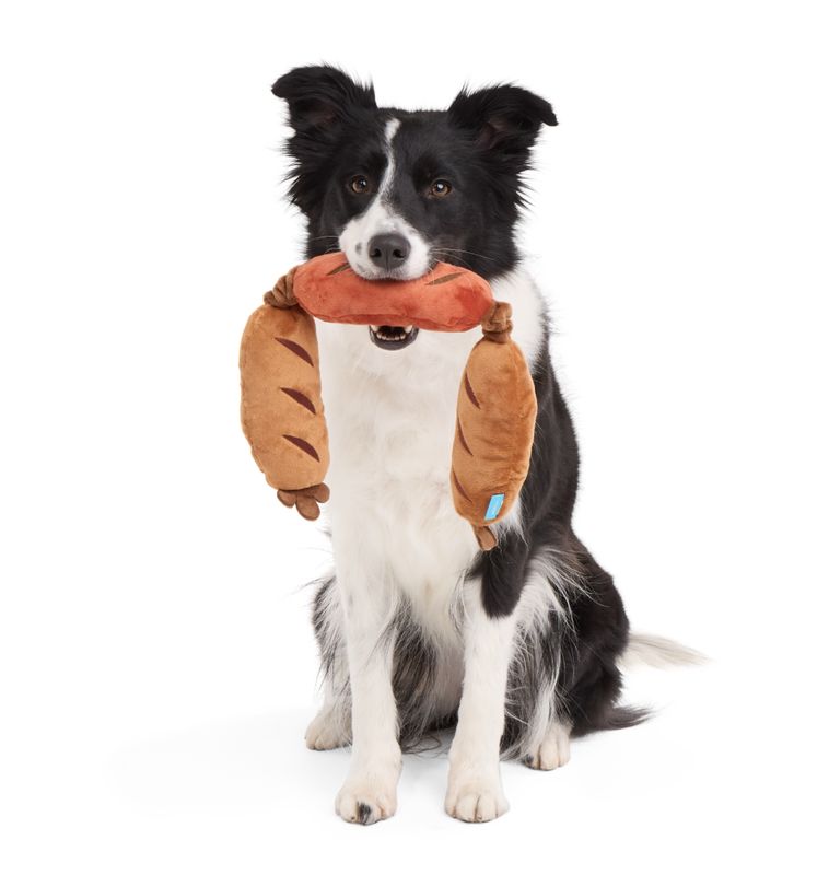 BARK Dog Lickin’ Links Tug Toy