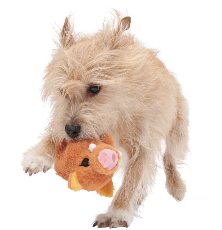 BARK Dog Beau The Boar Wild Pig Hog Toy