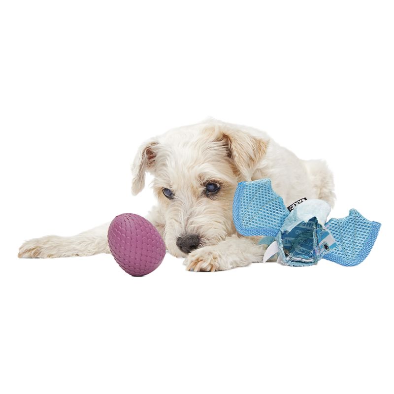 BARK Dog Brrrtha The Dragon Super Chewer Durable 2-in-1 + Tug + Fetch Toy