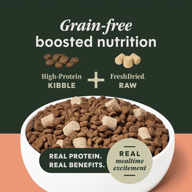 Instinct Dog RawBoost+ Real Salmon Kibble