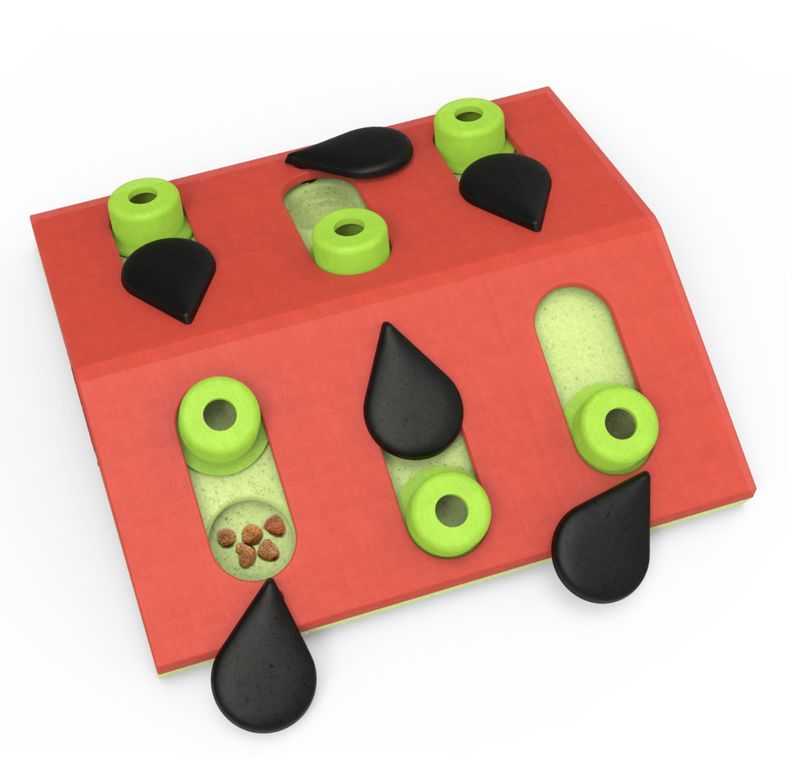 Outward Hound Cat Melon Madness Level 2 Puzzle &amp; Play