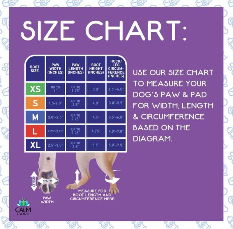 Calm Paws Recovery Boot