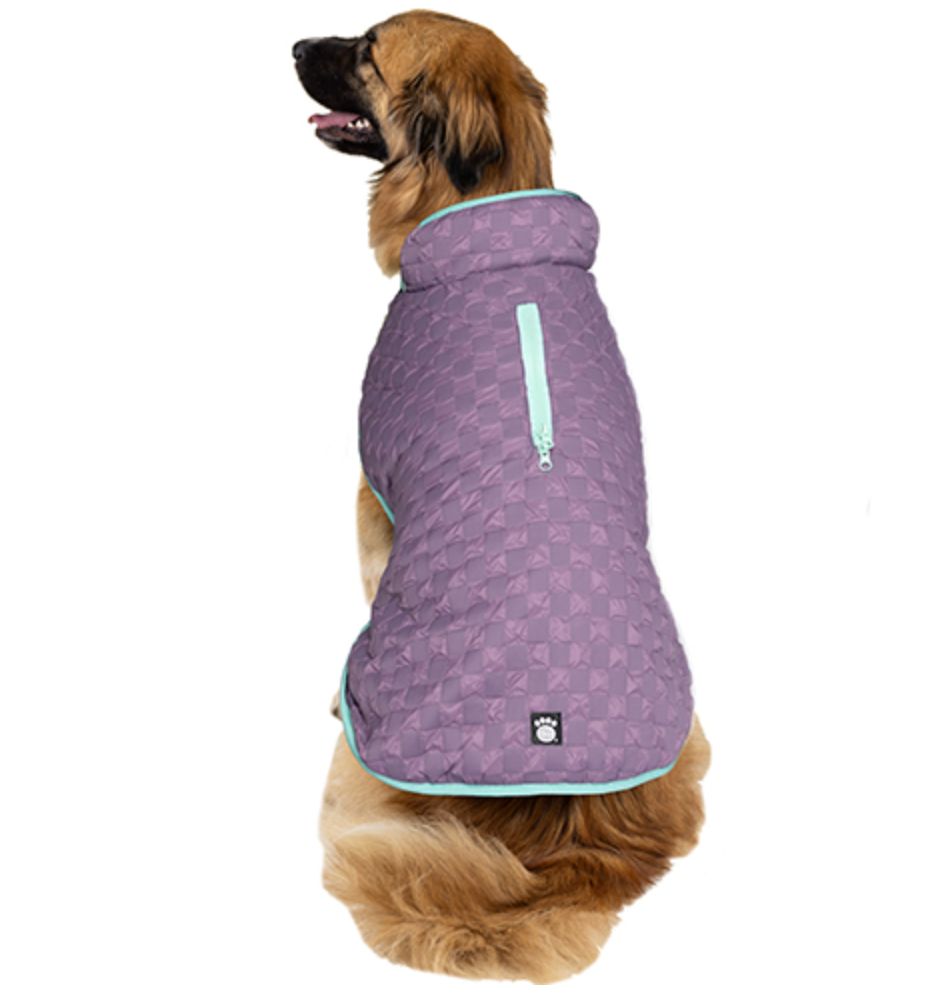 Petrageous Harness Parka Plum/Aqua, Size: X-Small