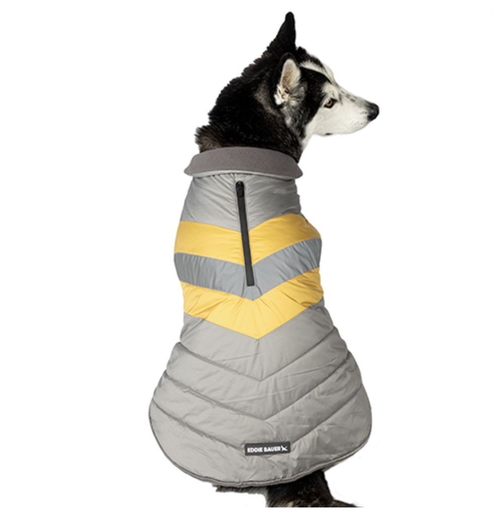 Petrageous Eddie Bauer Riverbend Reflector Vest Dark Olive, Size: X-Small