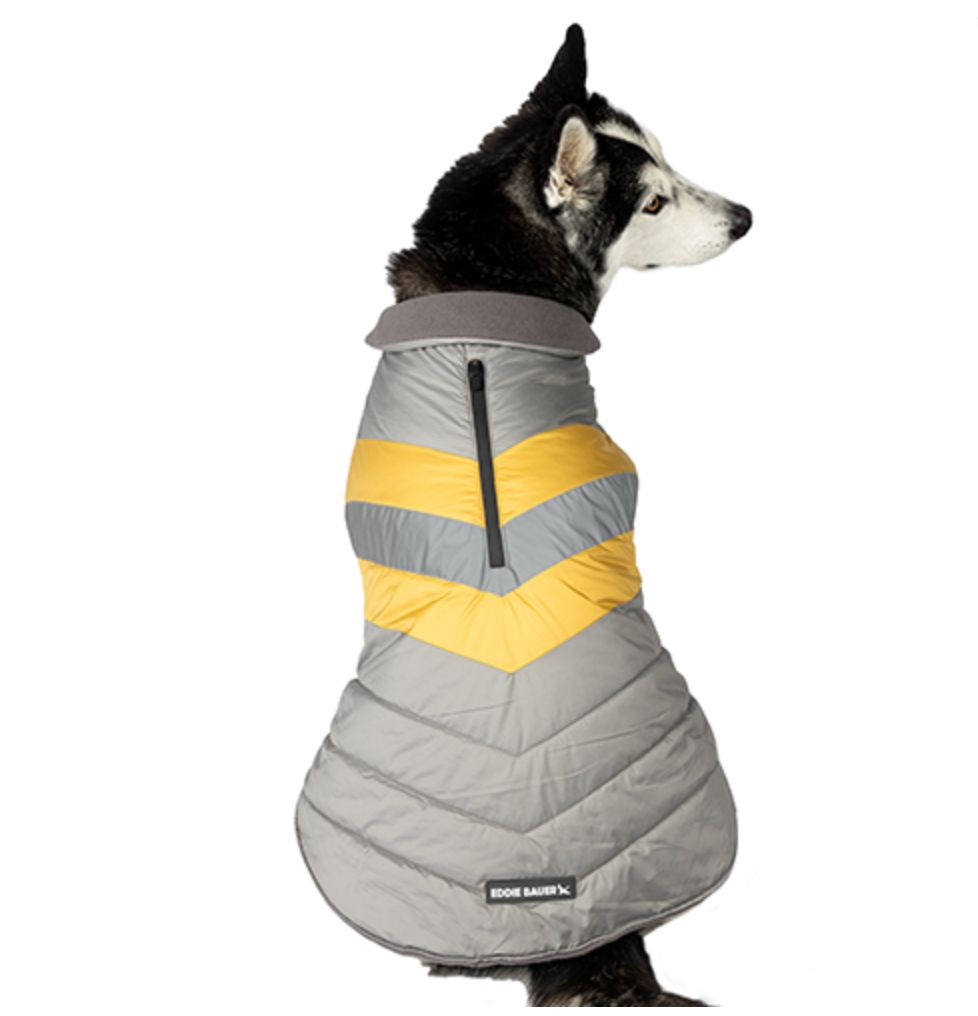 Petrageous Eddie Bauer Riverbend Reflector Vest Dark Olive, Size: X-Small