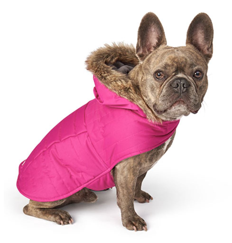 Petrageous Eddie Bauer Chinook Hooded Parka Fuchsia, Size: X-Small