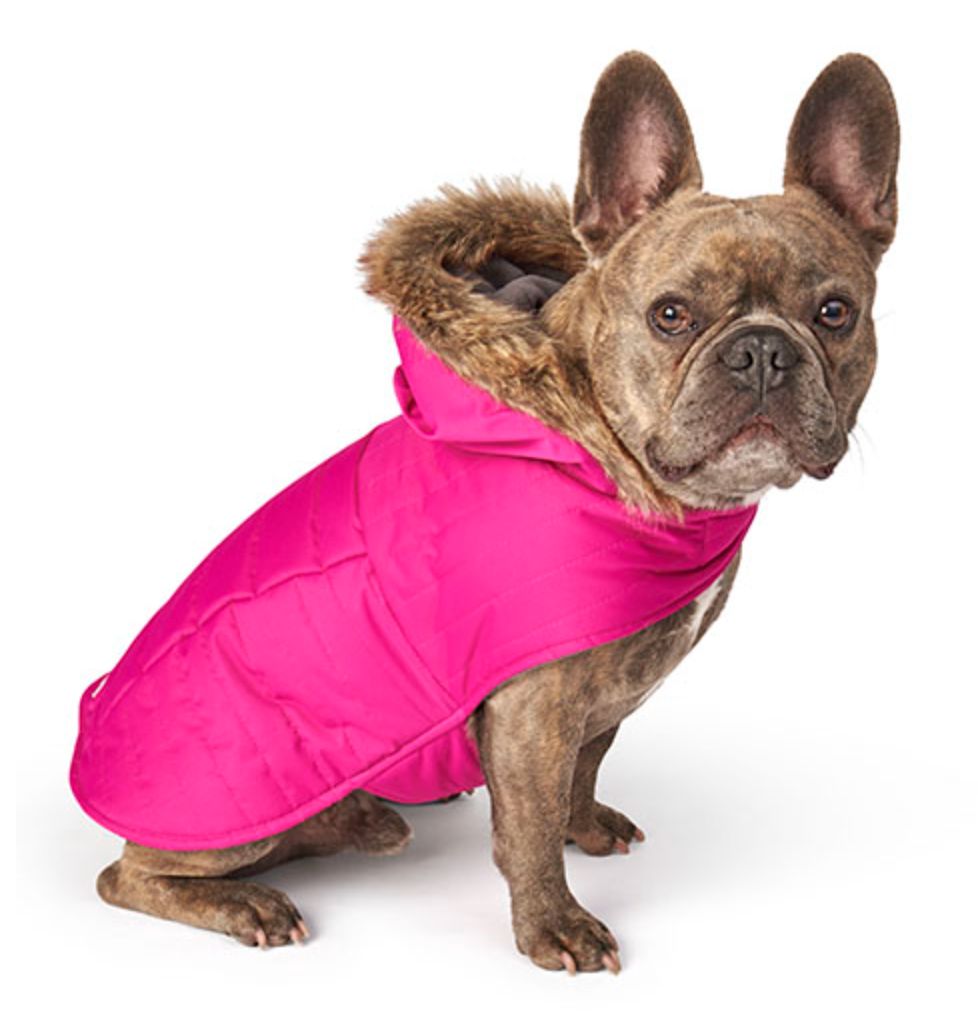Petrageous Eddie Bauer Chinook Hooded Parka Fuchsia, Size: X-Small