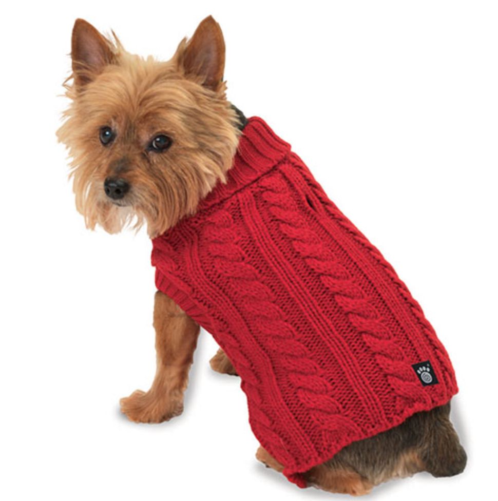 Petrageous Marley's Cable Sweater Red, Size: X-Small