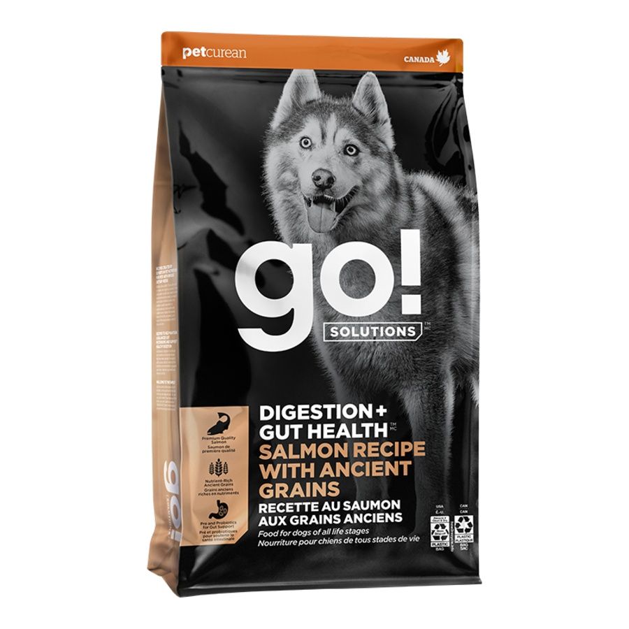 Go! Dog Digestion &amp; Gut Health Salmon with Grain, Size: 3.5lb