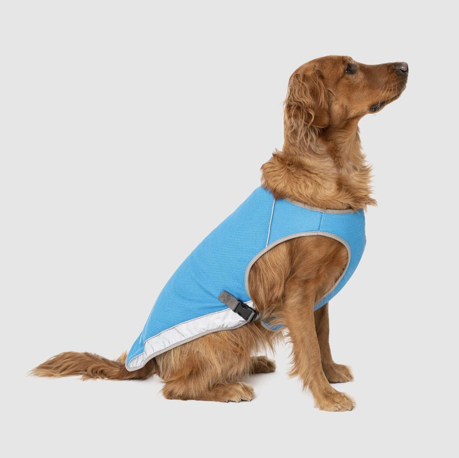 Canada Pooch Chill Seeker Cooling Vest, Color: Blue, Size: 8