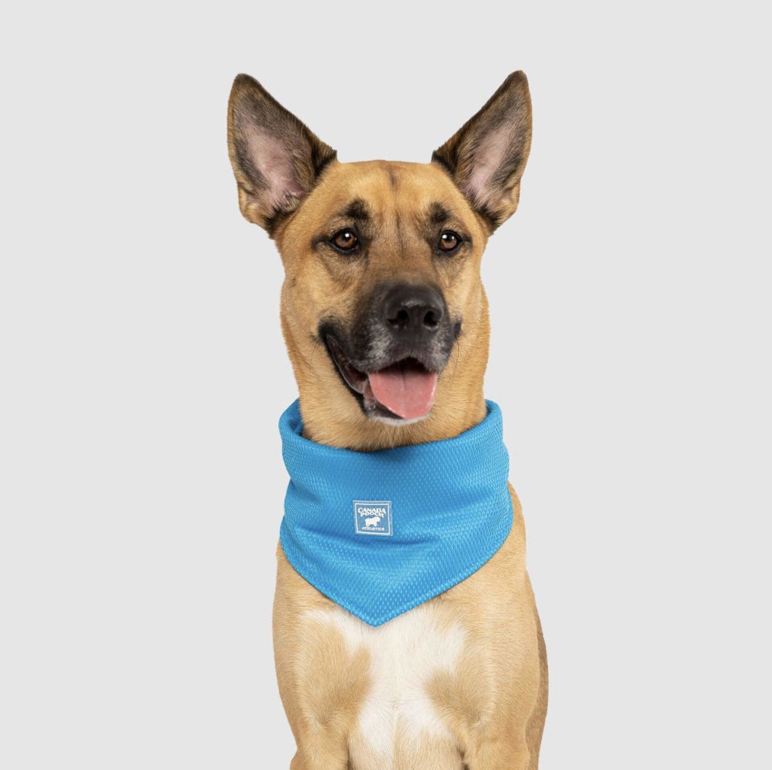 Canada Pooch Cooling Bandana, Color: Blue, Size: Small