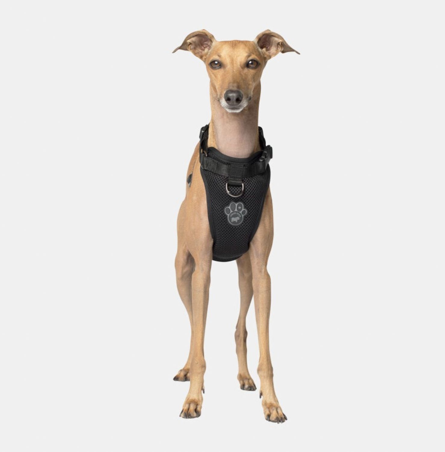 Canada Pooch Everything Harness Mesh Series, Color: Black, Size: S