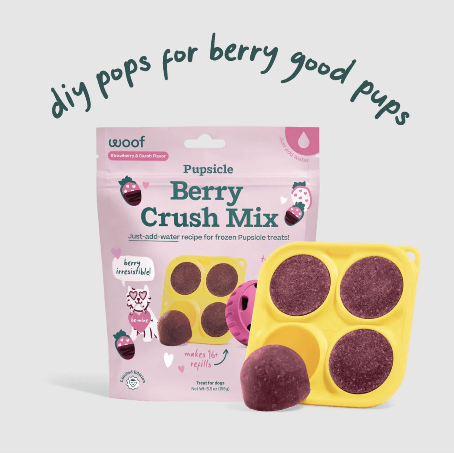Woof Pupsicle Holiday Treat Berry Crush Mix 5.5oz