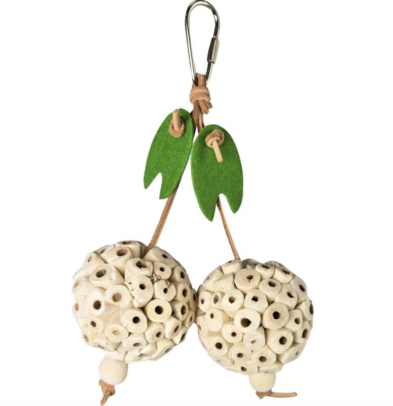 A&amp;E Happy Beaks Picky Pair Hanging Bird Chew