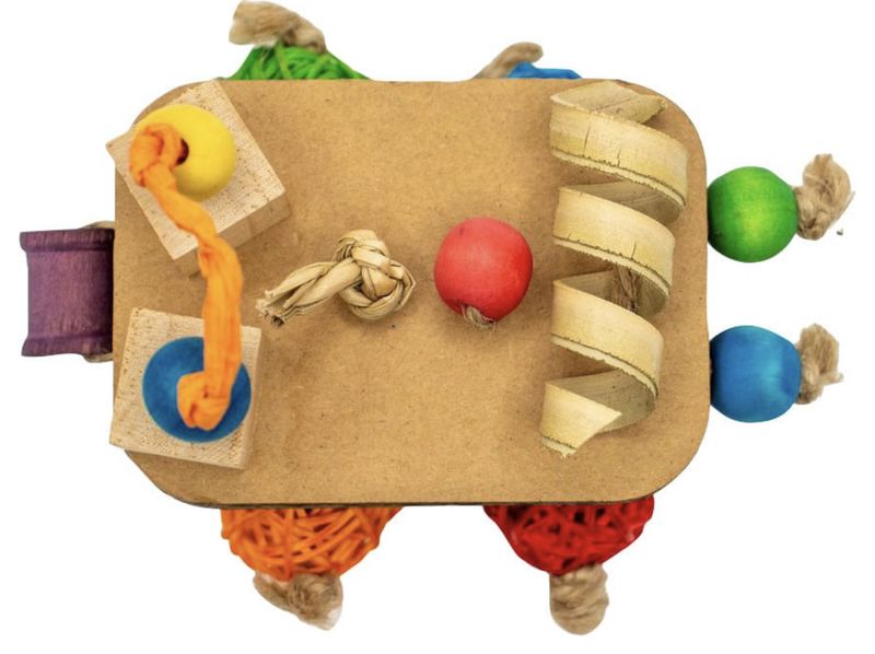 A&amp;E Nibbles Cardboard Cruiser Small Animal Toy