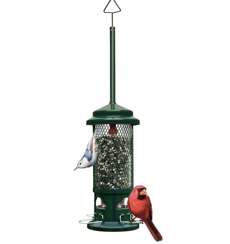 Squirrel Buster Standard Wild Bird Feeder 1.3lb